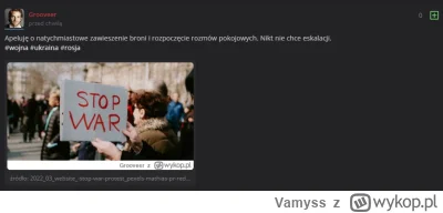Vamyss - Kiedy Ukraina ma w #!$%@? odwodów wyposażonych w zachodni sprzęt, niebawem t...
