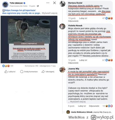 WielkiNos - Historia z ostatnich dni chłopca na hulajnodze, którego zaatakowały psy i...