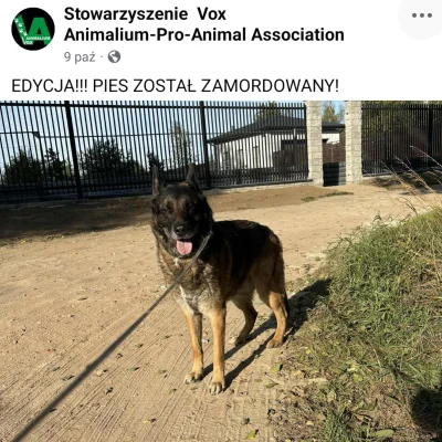 Mochizuki - "PIES ZOSTAŁ ZAMORDOWANY! DOKONANO TEGO BEZ KONTAKTU ZE STOWARZYSZENIEM!!...