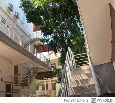 tygrys12345 - #raportzpanstwasrodka Małpa śliwkę zobaczyła i tymi słowami zawołała:
A...