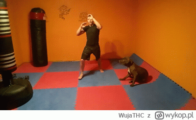 WujaTHC - @wfyokyga: