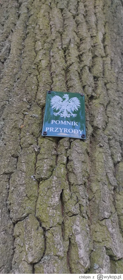 ch0pin - Szanuj przyrodę wersja Polska. Jeszcze na gwoździe mogli przybić ( ͡° ʖ̯ ͡°)