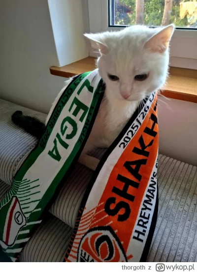 thorgoth - Trzydniowy detoks od telefonu i laptopa to samo dobro, wrzucam krótką rela...