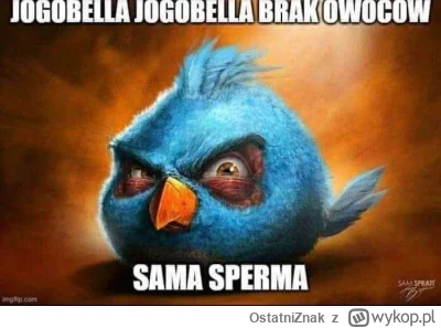 OstatniZnak - #codziennasperma #mem #humorobrazkowy #angrybirds #najlepszememy #smies...