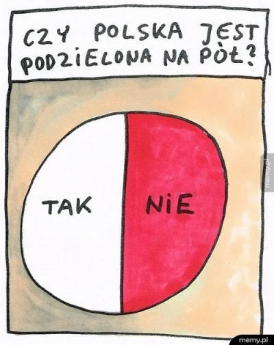 lologik - Więcej polaryzacji! Polacy to kochają!