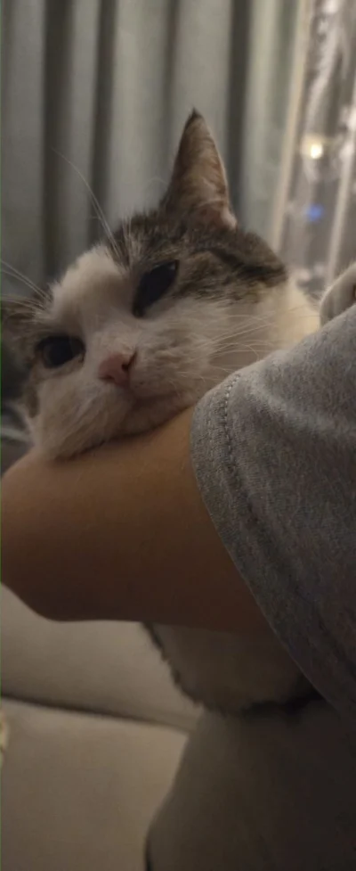 Solsith - @chcetylkofamemmanaczarnaliste: mam dwie medy, jedna na człowieka a druga m...