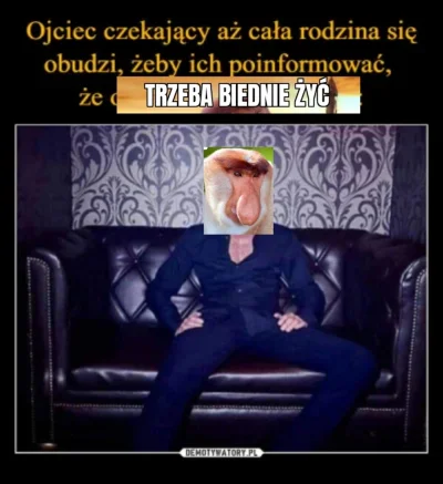 grzybylesnekonstantynowlodzki - #konkursnanajbardziejgownianymemznosaczem