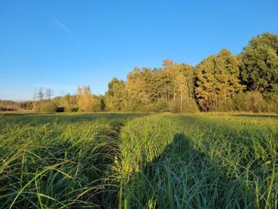 farew3Ell - @farew3Ell: