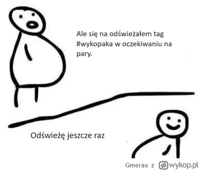 Gmeras - #wykopaka