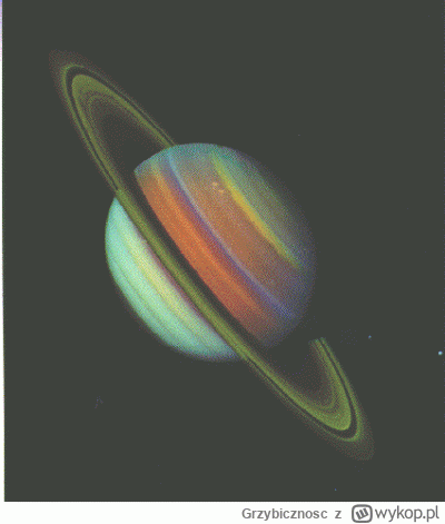 Grzybicznosc - Zdjęcie Saturna z sondy Voyager w 1980