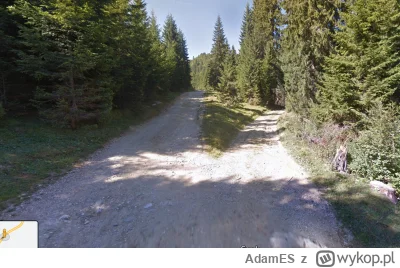 AdamES - @fotograf_warszawiak: Jest jeszcze droga 66A
Dalej google street view nie wj...