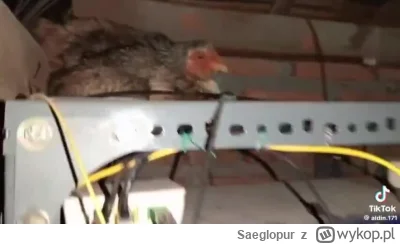 Saeglopur - #siecikomputerowe #mikrotik #komputery #sieci #heheszki #humor