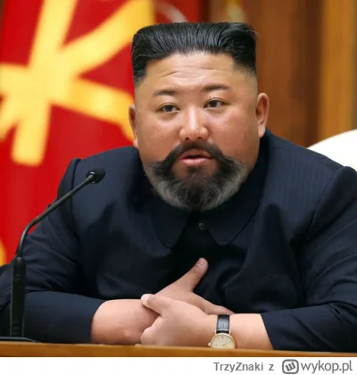 TrzyZnaki - No dobra, Kim Jong Un dostał z powrotem swoją niepowtarzalną fryzurę. W r...
