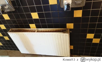 Kowal13 - A tak wygląda kaloryfer w męskiej toalecie w ZOO Wrocław. W skrócie to stan...