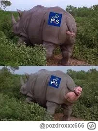 pozdroxxx666 - @splinter96: wygląda na to, że ten materiał Stanowskiego o tym, że nib...