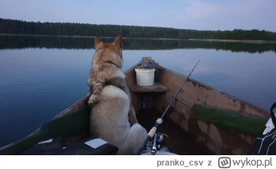 pranko_csv - Kto lubi wędkować, ale nie ma czasu na to aby iść nad wodę?
2 lata się z...