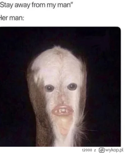 t2000 - To o mnie ( ͡º ͜ʖ͡º)
#heheszki #humorobrazkowy