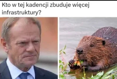 mr-dawid - #tusk #polityka #polska #memy #boberek #deweloperka