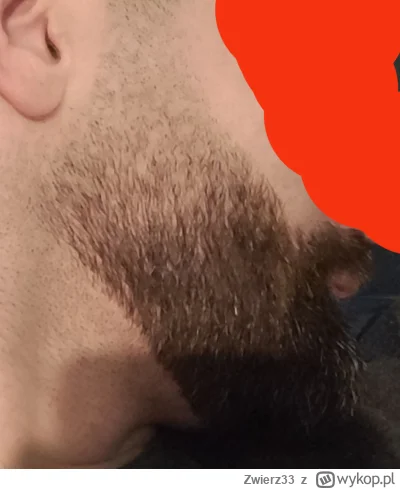 Zwierz33 - A tu macie, huop se sam fade brody zrobił ok. 20 minut roboty w domu. Cena...
