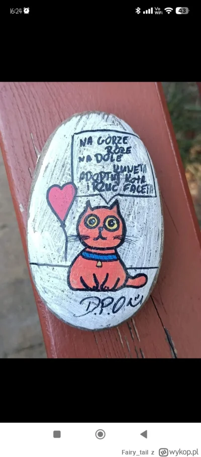 Fairy_tail - Znajdujecie czasem tego typu kamienie?
U nas, przy granicy z Czechami je...