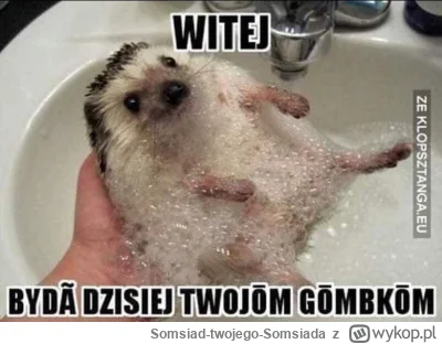Somsiad-twojego-Somsiada - #slaskiememy #heheszki #memy #humorobrazkowy