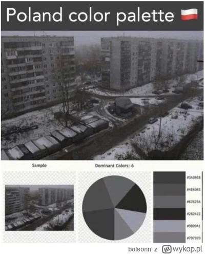 bolsonn - @4BDDN dlatego