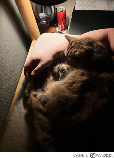 Cedrik - Chciałem sobie poczytać. Pograć sobie chciałem. A teraz tak będę leżał. (｡◕‿...