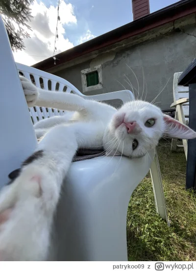 patrykoo09 - #pokazkota Selfie!