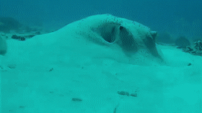 wfyokyga - Co jest kurde