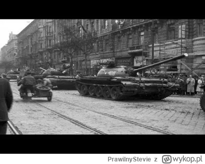 PrawilnyStevie - Życzymy węgierskim braciom wyzwolenia się spod buta kacapa już w 202...