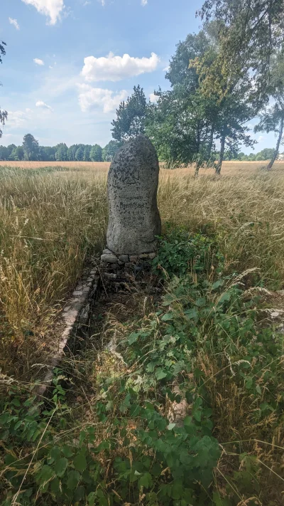wczyz - Przypadkowo spotkany zarośnięty cmentarz wojenny z I Wojny Światowej