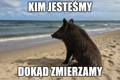 travis_marshall - #smiesznypiesek