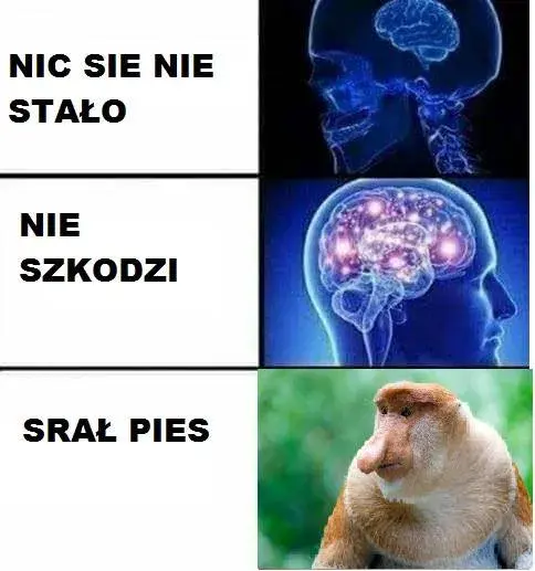 OgolnieRzeczBioracGeneralnie