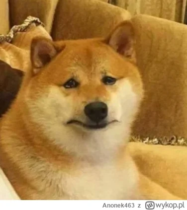 Anonek463 - Jak sobie radzice z #depresja? Biorę leki od około 5 lat z czego przez os...