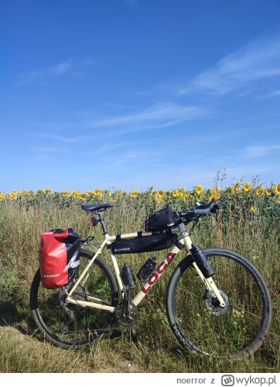 noerror - @Re-l Ja składałem na ramię Loca, ale następnym razem wolałbym kupić Furius...