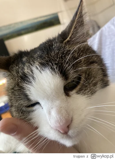 trujpan - @szzzzzz: (｡◕‿‿◕｡)