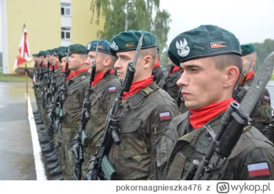 pokornaagnieszka476 - @Grooveer: na przykład 16 batalion saperów w Nisku
