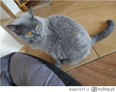 kupa1231 - @jmuhha: w koncu,ile mozna było czekać : x