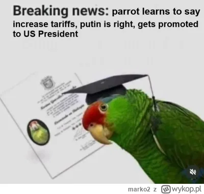 marko2 - #ukraina #trump