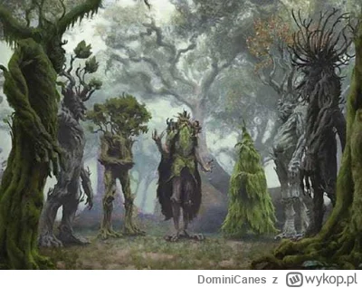 DominiCanes - Ostatni raz, przyjaciele 
#wladcapierscieni