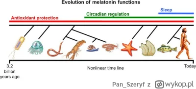 Pan_Szeryf - @Loginconajmniej4znaki: Witam, lekko poprawia

https://pubmed.ncbi.nlm.n...