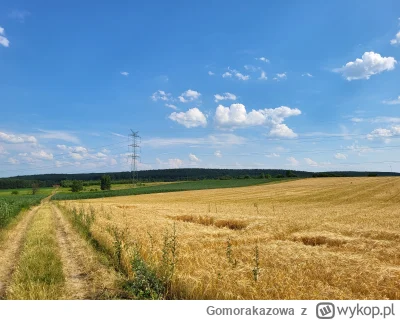 Gomorakazowa - @Gomorakazowa