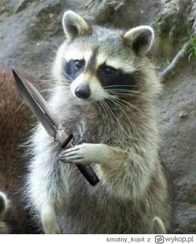 smutnykojot - @NajtwardszyTifoso: hamuj się ( ͡° ͜ʖ ͡°)