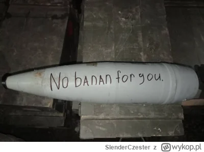 SlenderCzester - Operacja Broken Banan, niech to zacznie się już tej nocy LETS GOOOO
...