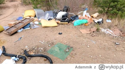 Adammik - >Zdarzają się pojedyncze butelki czy papierki, ale nikt już nie wozi regula...