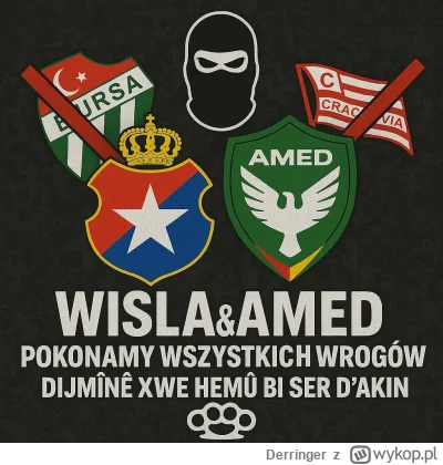 Derringer - W końcu jakaś zgoda z którą można się utożsamić 

#wislakrakow