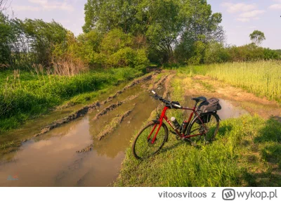 vitoosvitoos - No i znowu rower do mycia (ꖘ⏏ꖘ)