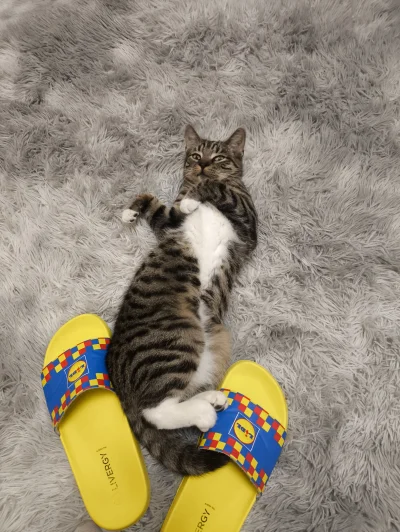 rymcykpymcyk - @Solsith: