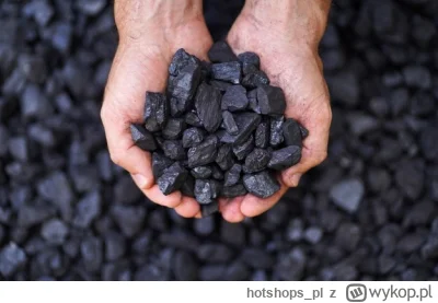 hotshops_pl - [Zestawienie] -200zł za każdą tonę węgla w sklepie PGG, np. ekogroszek ...
