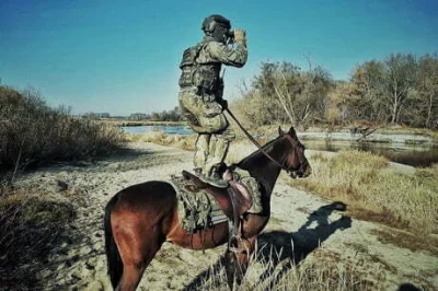 wfyokyga - @Orbiter01 Nasza armia też używa koni, co jest w tym obrazku śmiesznego? P...